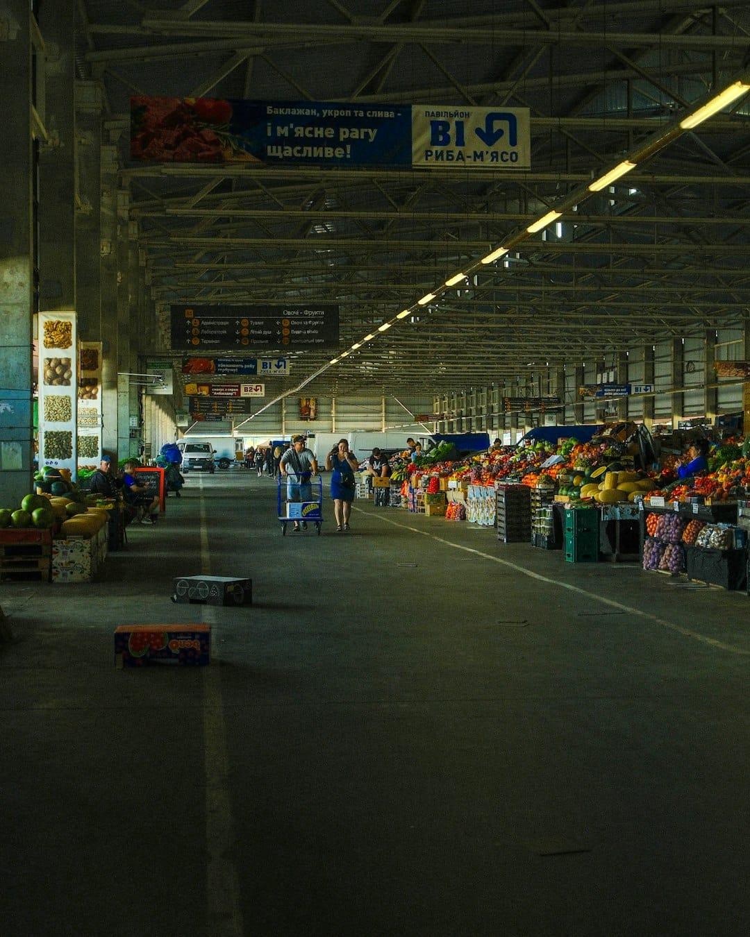 Competitive Response Strategies: When Rivals Undercut Your AI Pricing