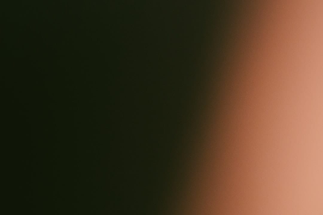 Included or Extra? Will AI Features Remain Add-Ons or Become Standard?