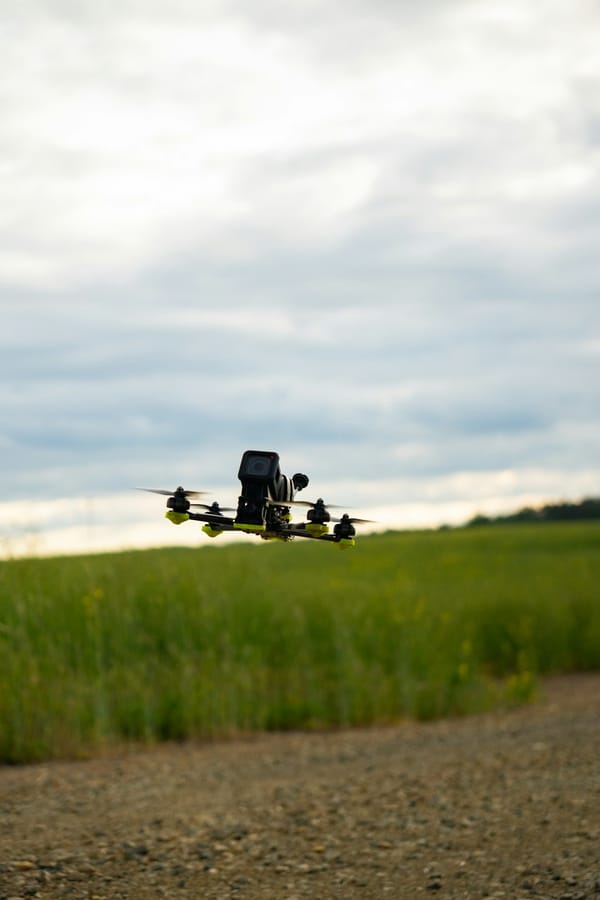 Vertical-Specific Pricing for AI Agents in Agriculture