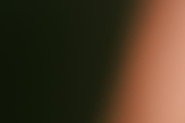 Included or Extra? Will AI Features Remain Add-Ons or Become Standard?