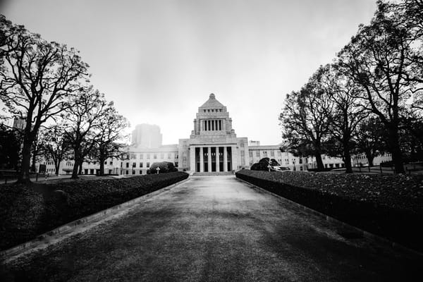 Government AI Adoption: Unique Challenges in Pricing and Procurement.